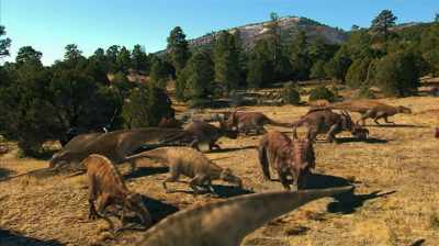 THEY WERE LIKE HERDS OF CATTLE. - Dino Hunters