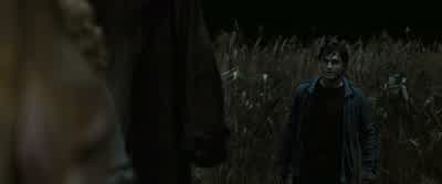They were on us right fromthe start, Molly. - Harry Potter and the Deathly Hallows: Part 1