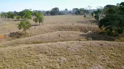 THEY WERE WELL-ORGANIZED, - Lost Cities of the Amazon
