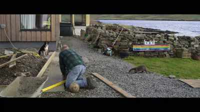 They weren't so
dissimilar Billy and Molly. - Billy & Molly: An Otter Love Story