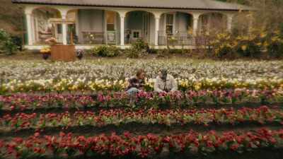 They weren't supposed to be
there in the first place, - An Easter Bloom