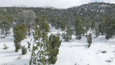 They will also do
a magnetometer survey - Beyond Skinwalker Ranch