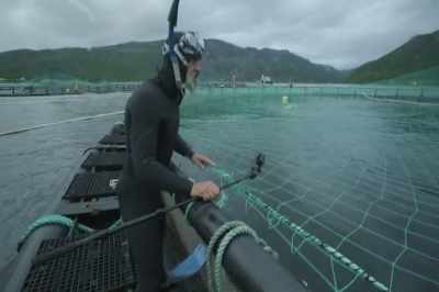 They will never buy one of these
fish. - Artifishal