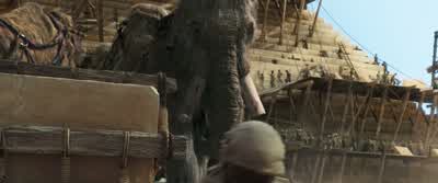 -They will not charge. - 10,000 BC