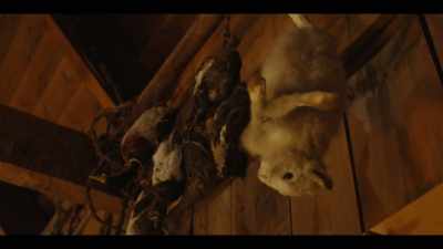 They would have sacrificial rituals, - The History of Home Narrated by Nick Offerman