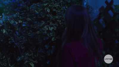 They'd arranged it
with the local police - The Watcher in the Woods