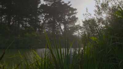 They'd seen how central park
had transformed new york, - Searching for Secrets