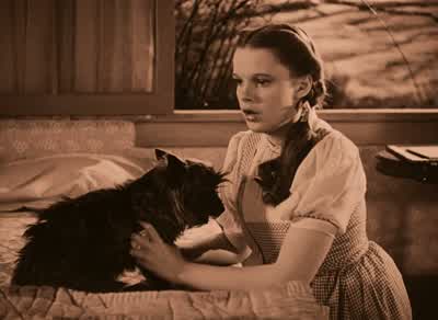They'll be coming back for you in a minute. - The Wizard of Oz