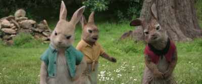 They'll be fine, and if not, - Peter Rabbit