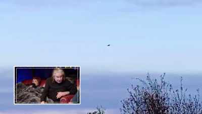 They'll hover above and then
the go dive down and get it. - The Osbournes Want to Believe