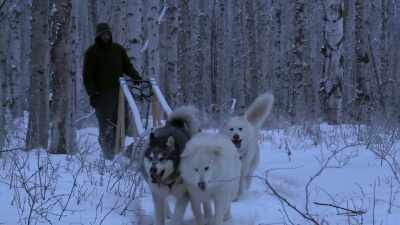 They'll not only
hurt each other, - Life Below Zero: Next Generation