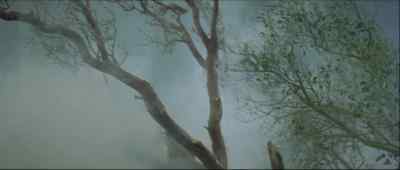 They'll see me, they'll look at my eyes. - The Premature Burial