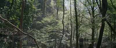 They'll start by telling us... - King Arthur: Legend of the Sword