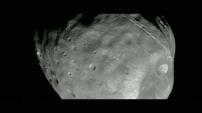 They're a very unusual structure on this - Unacknowledged