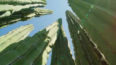 They're able to thrive here because
of an extraordinary partnership... - The Green Planet