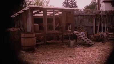 They're all chickens - Flipped