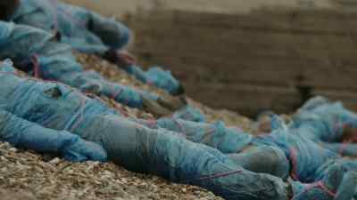 They're all gone. - Humans