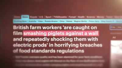 They're all over the newspapers - Pignorant