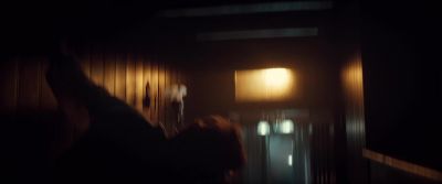 They're all Winchester They will all - Winchester