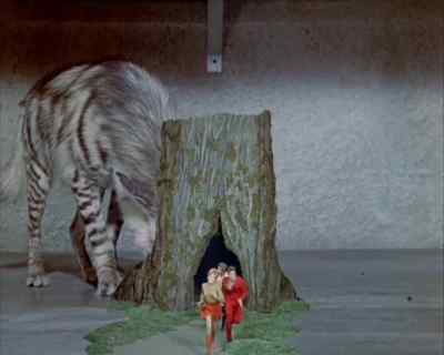 They're already
a half hour overdue.
[ Hyenas vocalizing ] - Land of the Giants