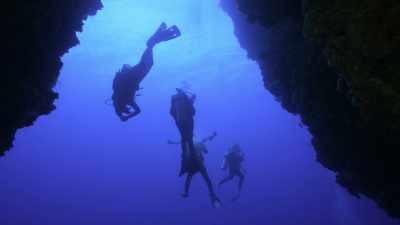 They're basically creating
this incredible dimensionality, - Chasing Coral