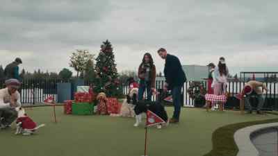 They're both doctors - Happy Howlidays