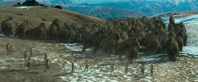 They're breaking away! - 10,000 BC