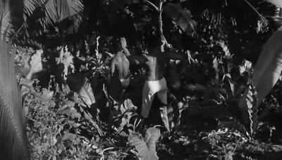 They're chasing an iguana - The Night of the Iguana