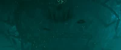 Ohh They're chasing usOh really You think - Independence Day