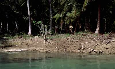 They're coming closer. - Dr  No