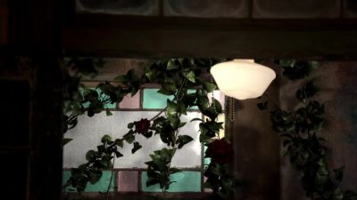 They're dahlias. - The Originals