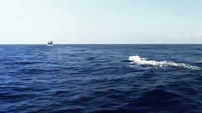 They're dangling the squids
on the water, - Deadliest Catch: Bloodline