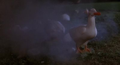 They're destroying my ducks - Real Men