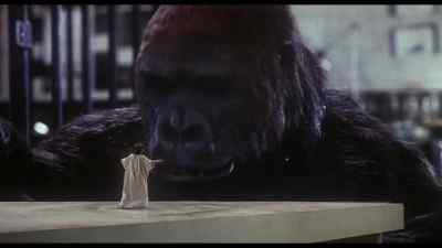 - They're escaping.
- So are we. - The Incredible Shrinking Woman