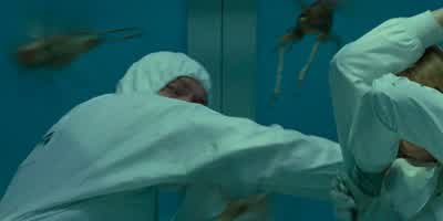 -They're everywhere! - Jurassic World: Dominion
