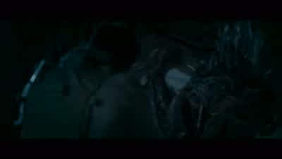 They're everywhere - Monster Hunter