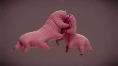 They're gently giving
each other pleasure, - Cosmos: Possible Worlds