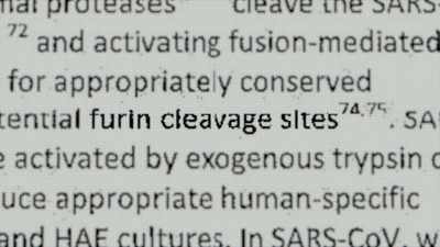 They're going to insert - Thank You Dr. Fauci