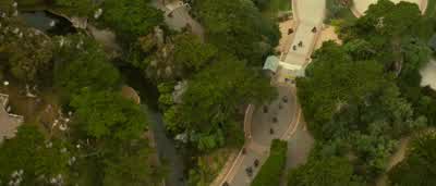 They're going the park, on the north side! - Rise of the Planet of the Apes