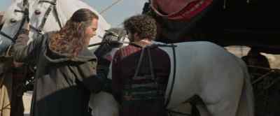 They're harnessed wrong.
Aliyah should be here. - Ben Hur
