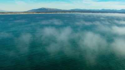They're heading
for Monterey Bay, California, - Blue Planet II