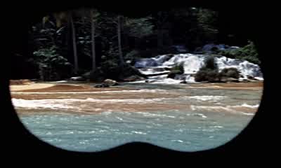 They're here all right. - Dr  No