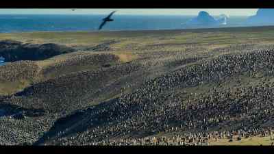 They're here because
the surrounding waters provide - Our Oceans
