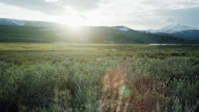 They're here to take advantage - Epic Yellowstone