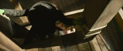 - They're in here! - Wicked