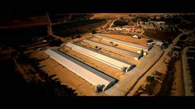 They're in these 
secret facilities that 
no one knows about - What the Health