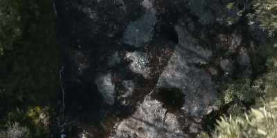 ...they're incredibly toxic - Revealed: How to Poison a Planet