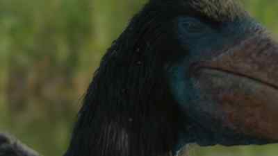 They're irritating and even painful. - Prehistoric Planet
