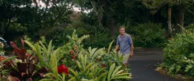 They're just, like, cheap. - The Descendants