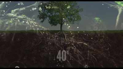 They're leaking it out in a very
strategic way to soil microorganisms. - Kiss the Ground